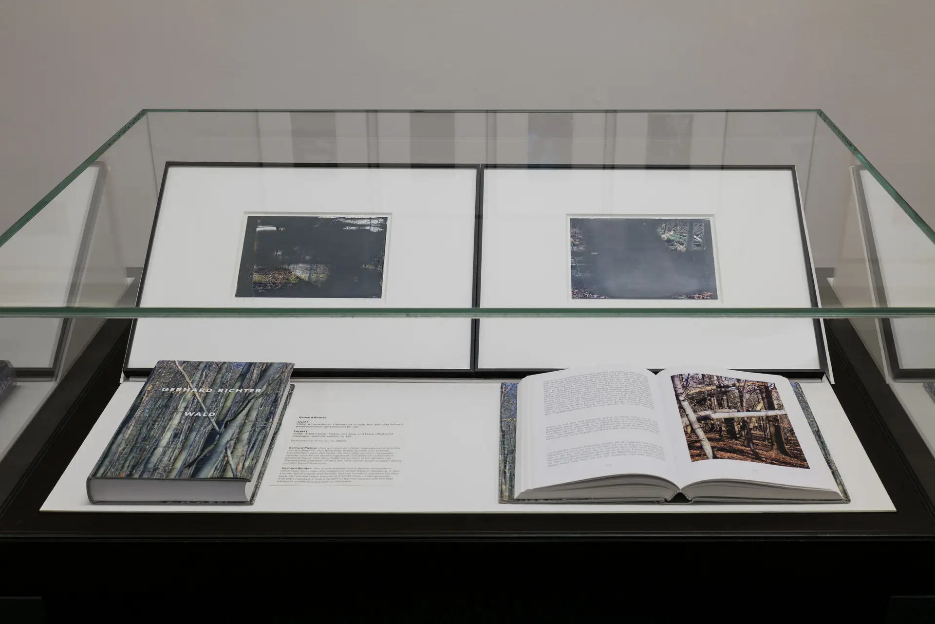 Gerhard Richter Archiv: Gerhard Richter. Overpainted Photographs